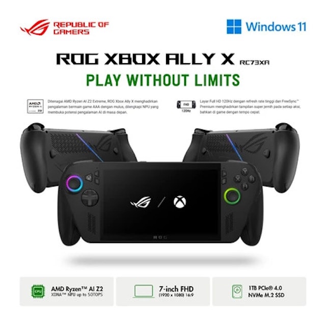 ROG XBOX Ally X