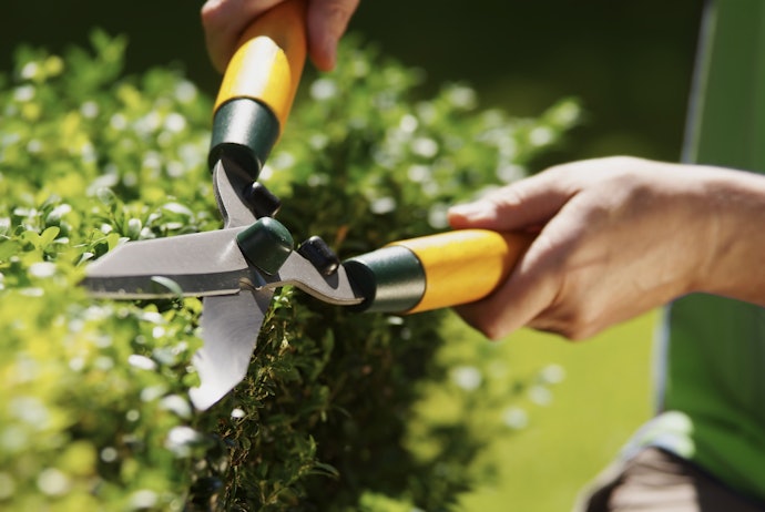 Tips merawat gunting rumput