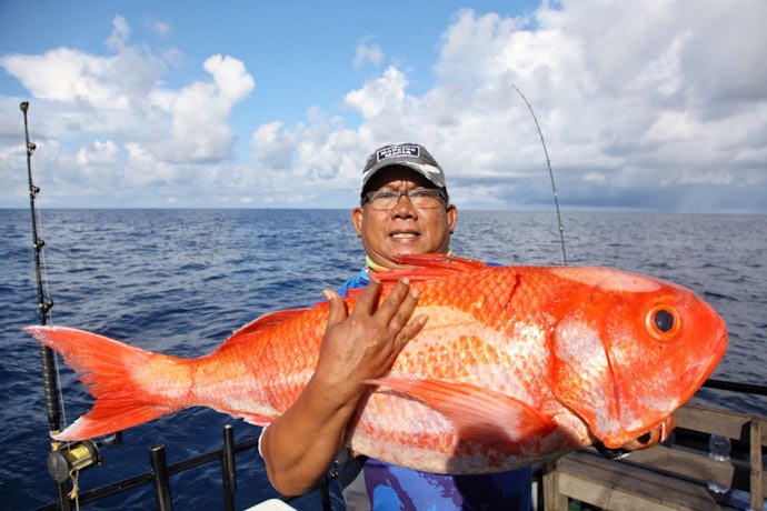 Tips memilih umpan dari pemancing profesional kami, Dudit Widodo
