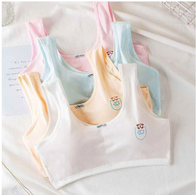 Apa bedanya bra dengan miniset?