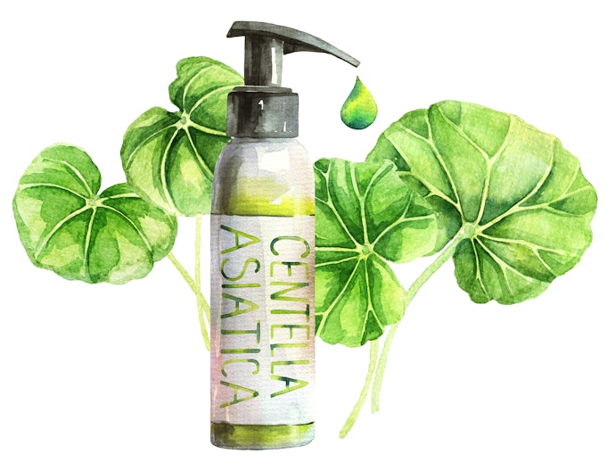Toner Centella asiatica untuk apa?