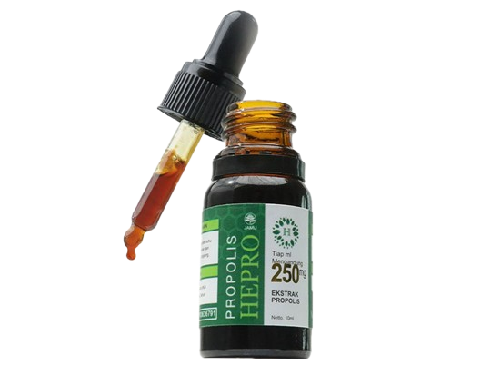 Apa itu propolis?