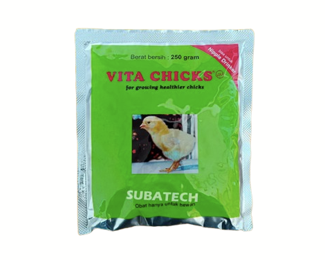 Apakah semua jenis ayam harus diberikan vitamin?
