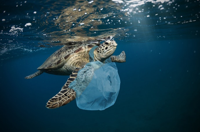 Mengapa perlu mengurangi pemakaian kantong plastik sebagai tas belanja?