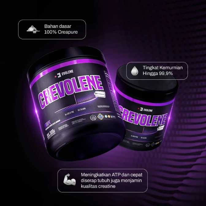 Apa fungsi dari creatine?