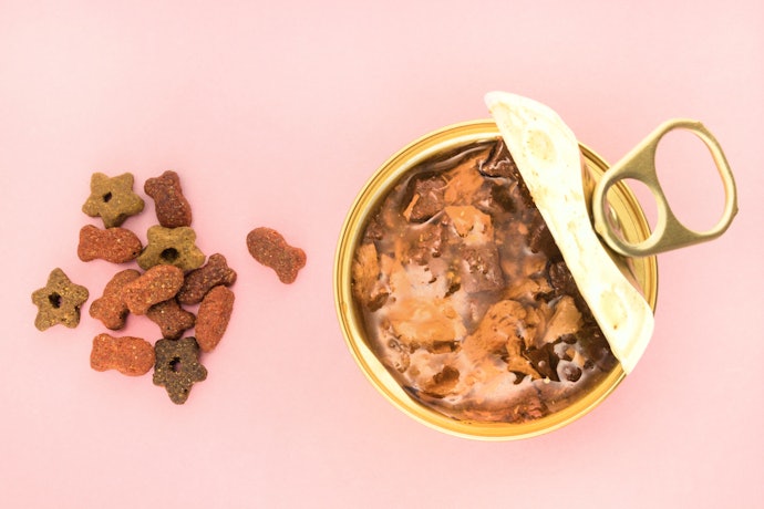 Apa perbedaan wet food dan dry food?