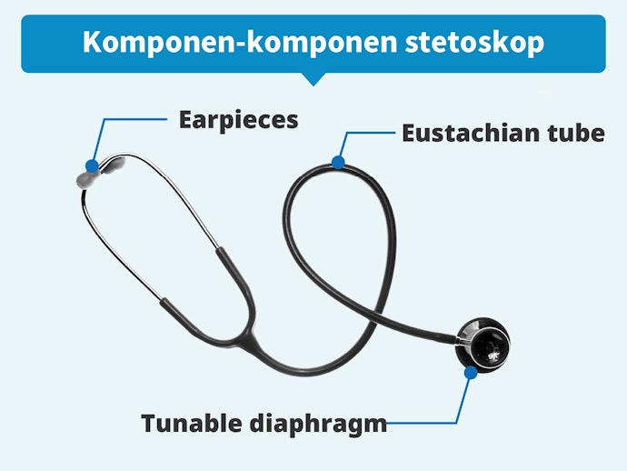 Apa itu stetoskop?