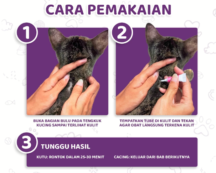 Kapan waktu yang tepat untuk memberikan obat cacing pada kucing?