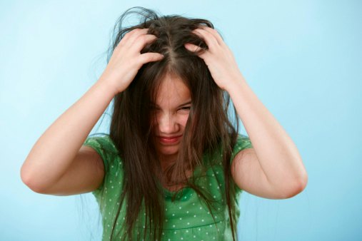 Apa itu kutu rambut?
