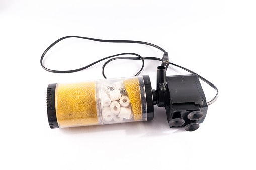 Mengapa filter aquarium itu penting?