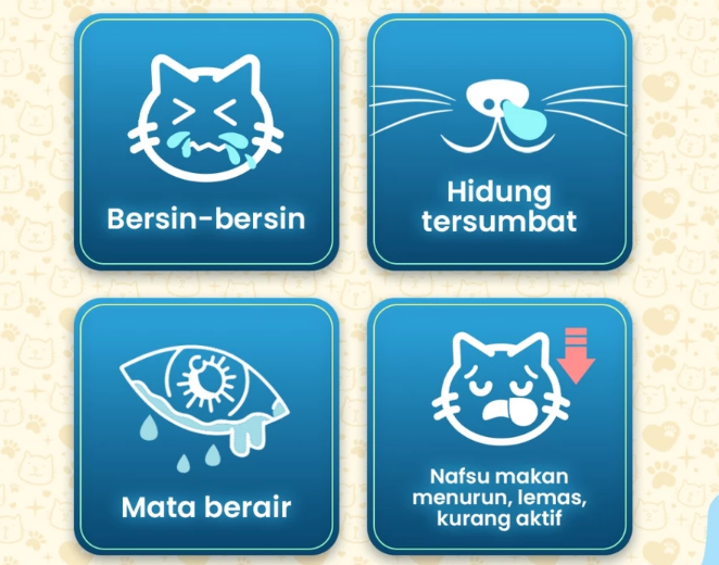 Apa gejala flu kucing?
