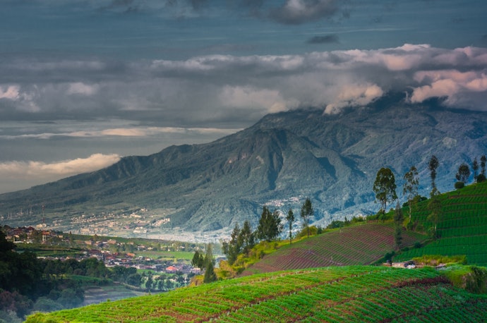 Sekilas tentang Kota Batu yang penuh pesona