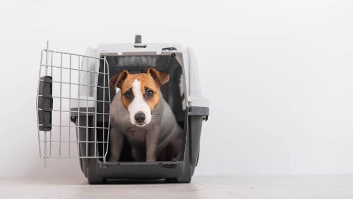 Apa yang dimaksud dengan pet cargo?