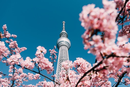 Manfaat belajar bahasa Jepang