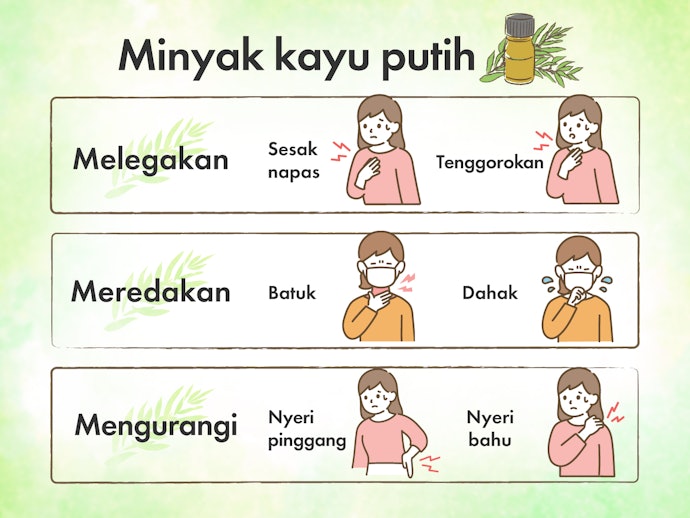 Manfaat minyak kayu putih