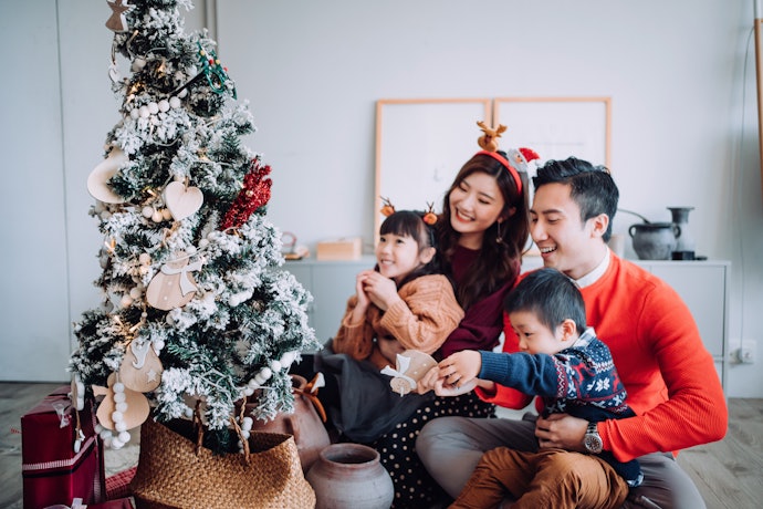 Apa saja pohon yang sering dipakai sebagai pohon Natal?