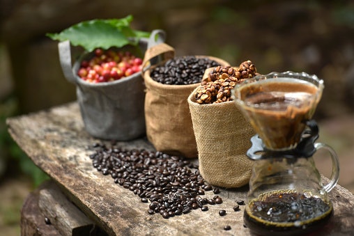 Asal kopi sidikalang