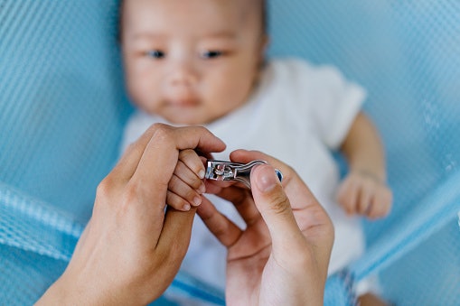 Sekilas tentang alat potong kuku bayi