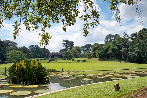 Daya tarik Kota Bogor