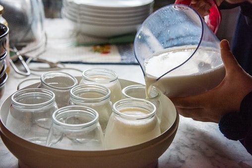 Bagaimana cara membuat yogurt dengan yogurt maker?