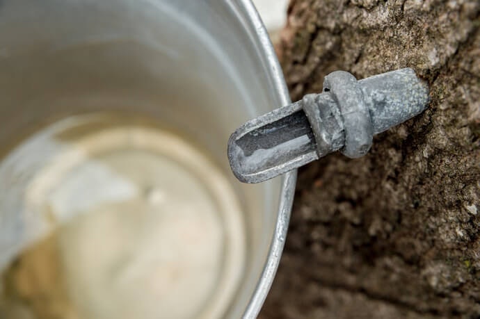 Untuk kualitas terbaik, pilih maple syrup yang berbahan baku 100% maple syrup murni