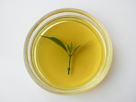 Untuk jerawat punggung, pilih shower gel The Body Shop dengan kandungan tea tree oil