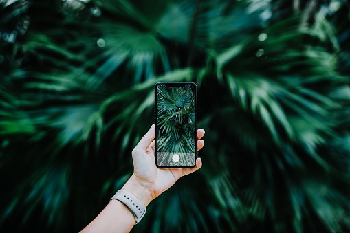 Bagi Anda yang ingin tampilan aesthetic, cari wallpaper video yang bisa bergerak dengan efek 3D