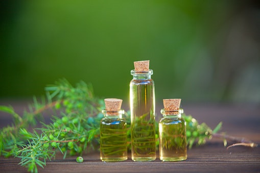 Jika memiliki masalah jerawat punggung, pilih body wash dengan kandungan tea tree