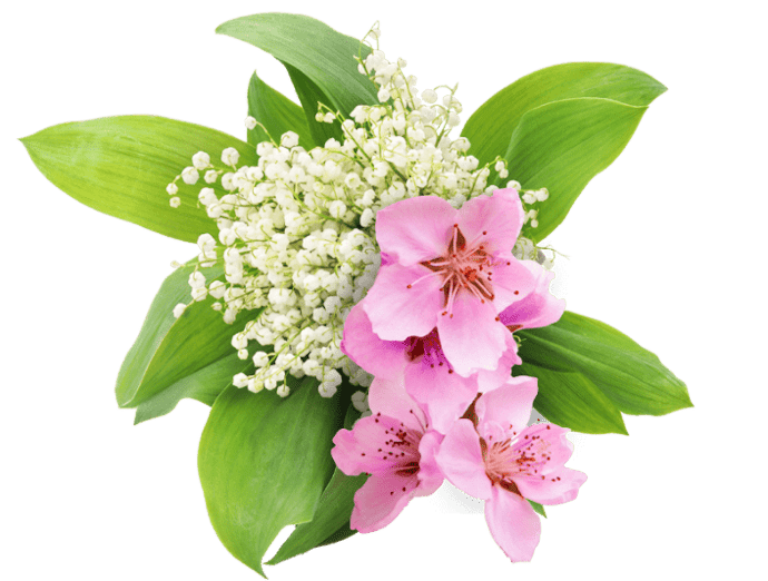 Heart notes, aroma tengah yang menjadi jantung parfum