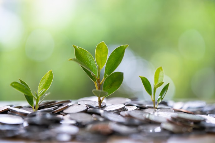 Reksa dana, investasi mudah yang dikelola manajer investasi