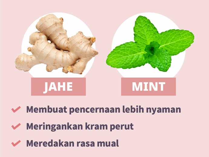 Jahe dan peppermint, untuk meredakan gejala mual dan muntah