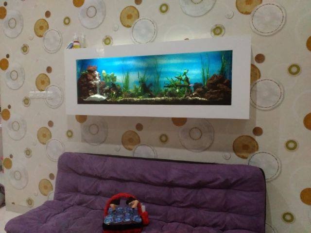 Aquarium dinding tempel, cukup gantung di dinding dengan bracket atau paku