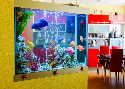Aquarium tembok kaca, Anda perlu membongkar tembok rumah