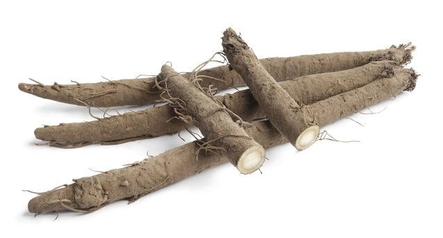 Teh akar burdock (gobo), baik untuk menjaga kesehatan