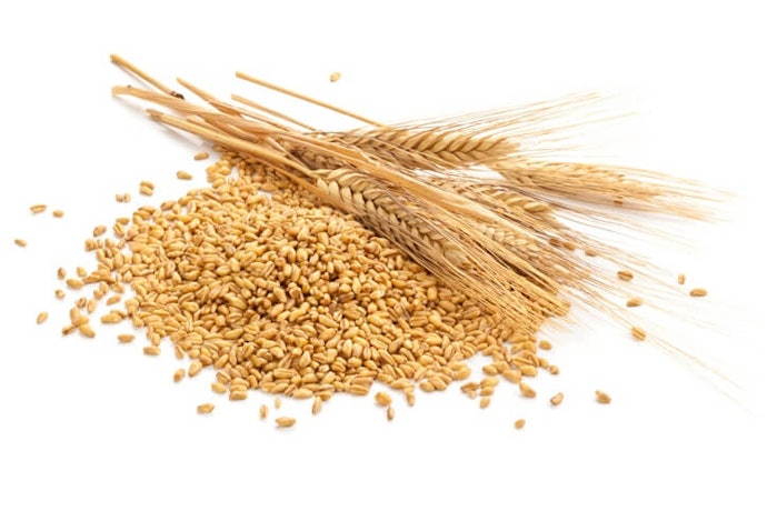 Kandungan tepung gandum di atas 30%, lebih tinggi serat