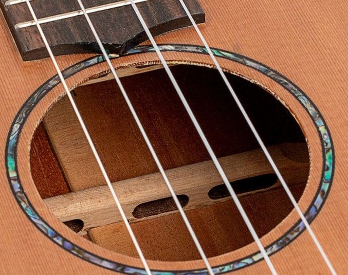 Nylgut/nile gut yang pas untuk memainkan lagu bertempo cepat