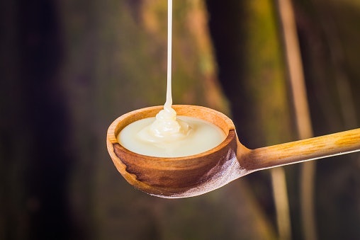 Kandungan susu kental manis