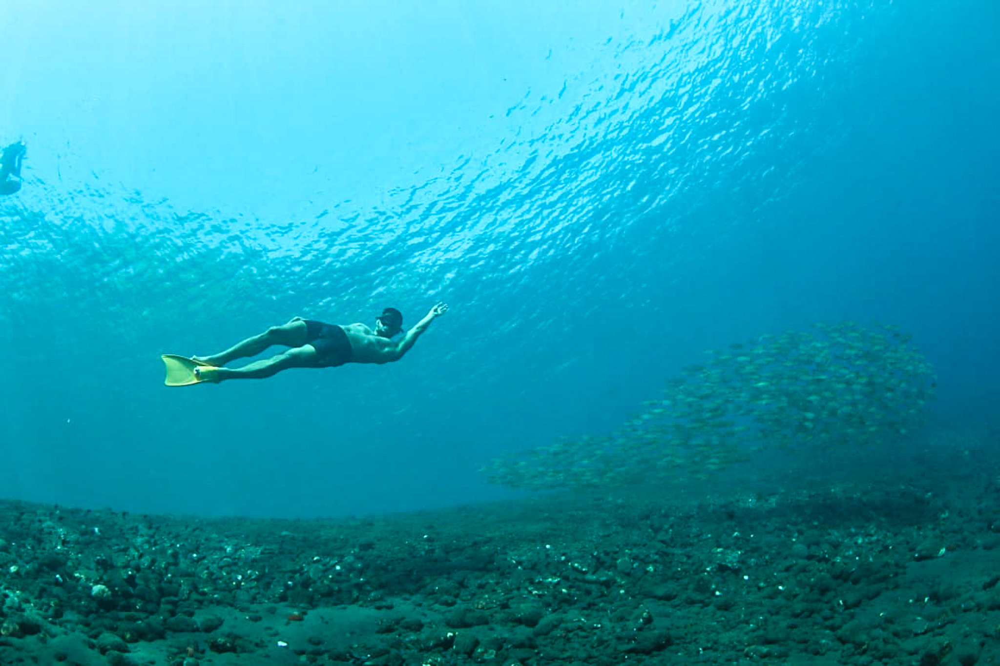 7 Rekomendasi Free Diving Essentials Bagi Pemula