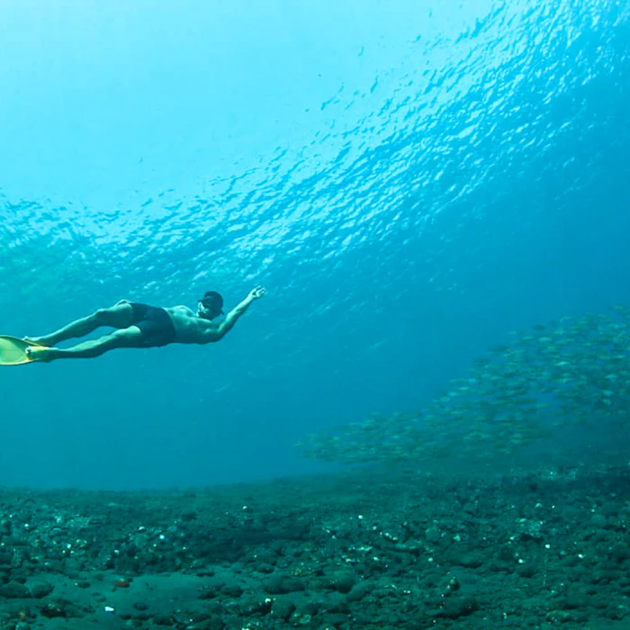 7 Rekomendasi Free Diving Essentials Bagi Pemula