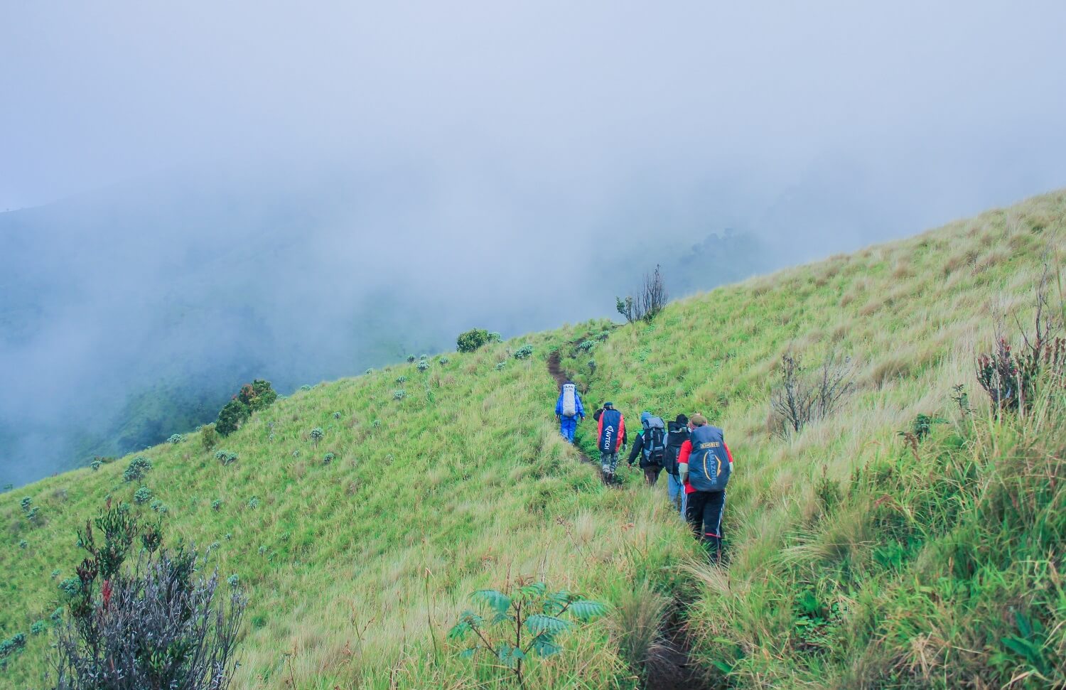 Mau Mendaki di Musim Hujan? Ini 10 Rekomendasi Perlengkapan Pendakian yang Mesti Dipersiapkan