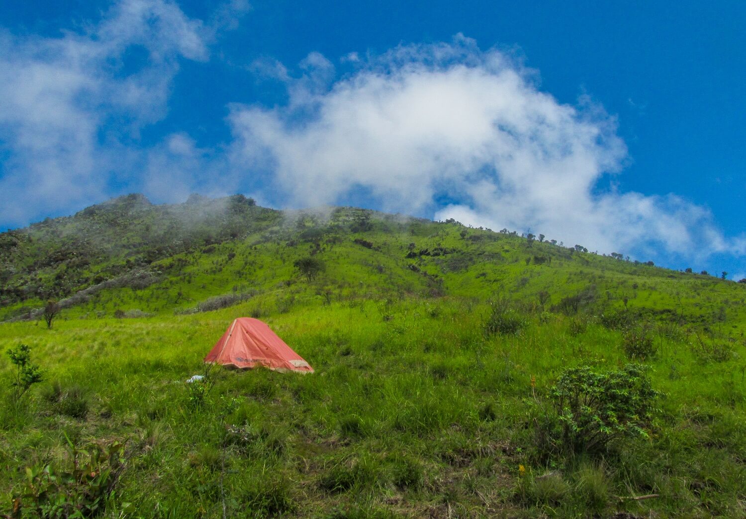 7 Rekomendasi Tenda Ultralight dengan Harga Terjangkau