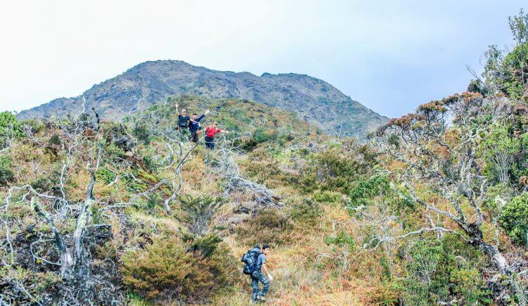 10 Rekomendasi Produk Survival Kit yang Wajib Dibawa oleh Pendaki Gunung