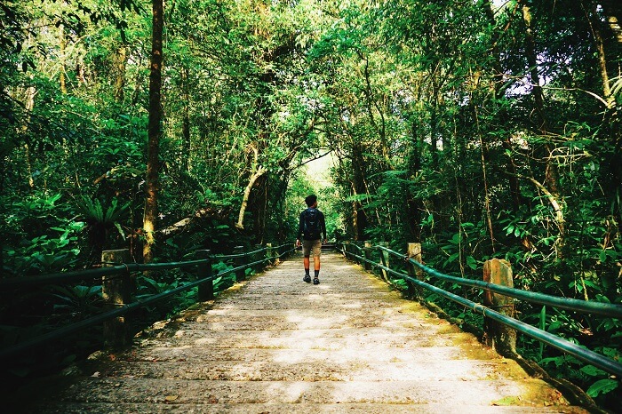 8 Rekomendasi Barang yang Perlu Dipersiapkan untuk Melakukan Solo Travelling