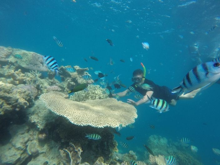 9 Rekomendasi Perlengkapan Snorkeling dan Diving 