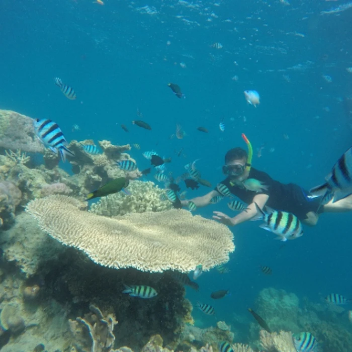 9 Rekomendasi Perlengkapan Snorkeling dan Diving