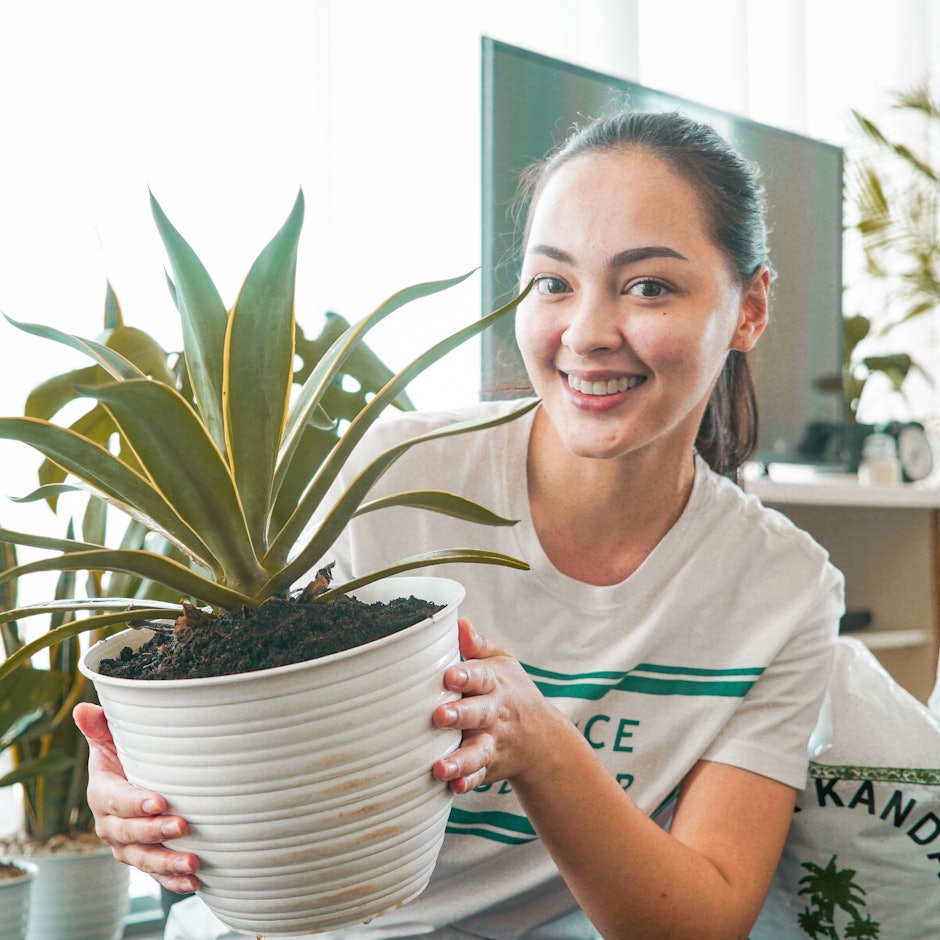 7 Rekomendasi Produk Pendukung agar Stay At Home Kalian Lebih Positif