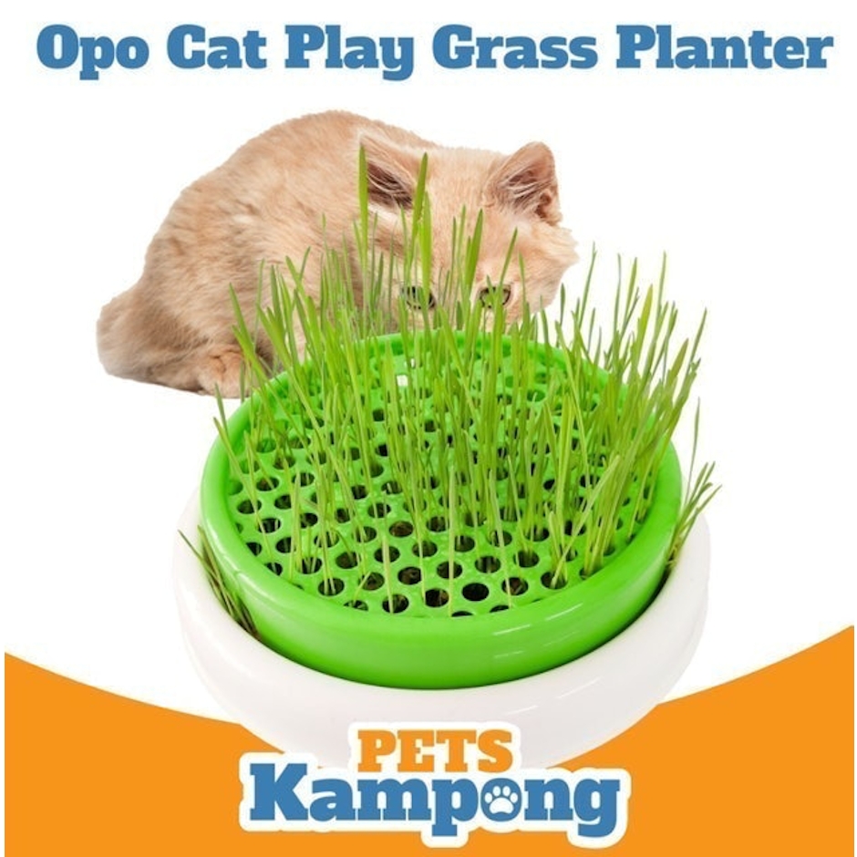 Opo CAT Cat Grass Planter Translation missing: id.activerecord.decorators.item_part_image/alt