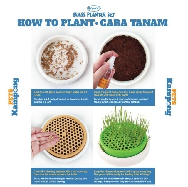 Opo CAT  Cat Grass Planter Translation missing: id.activerecord.decorators.item_part_image/alt