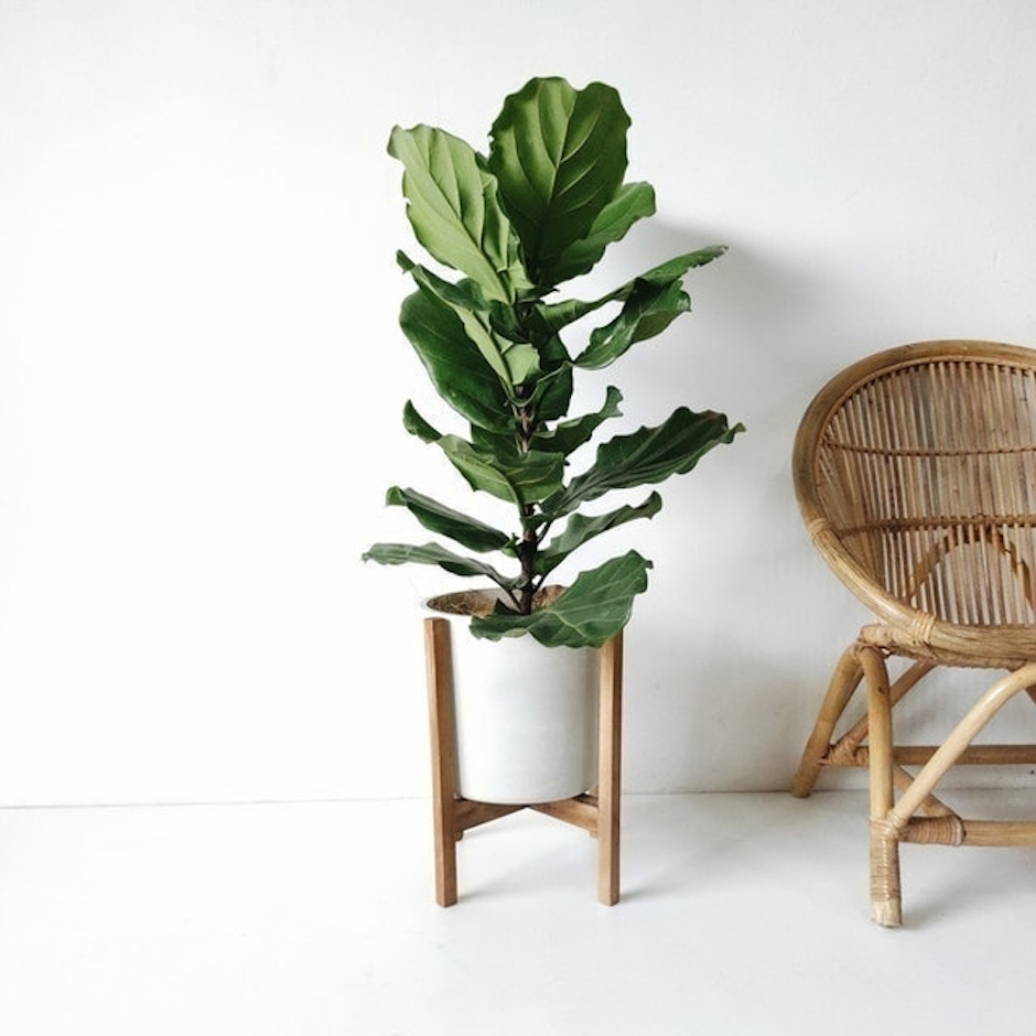 KINIBOTANICA Concrete Pot 28 + JATI Standing Planter Translation missing: id.activerecord.decorators.item_part_image/alt