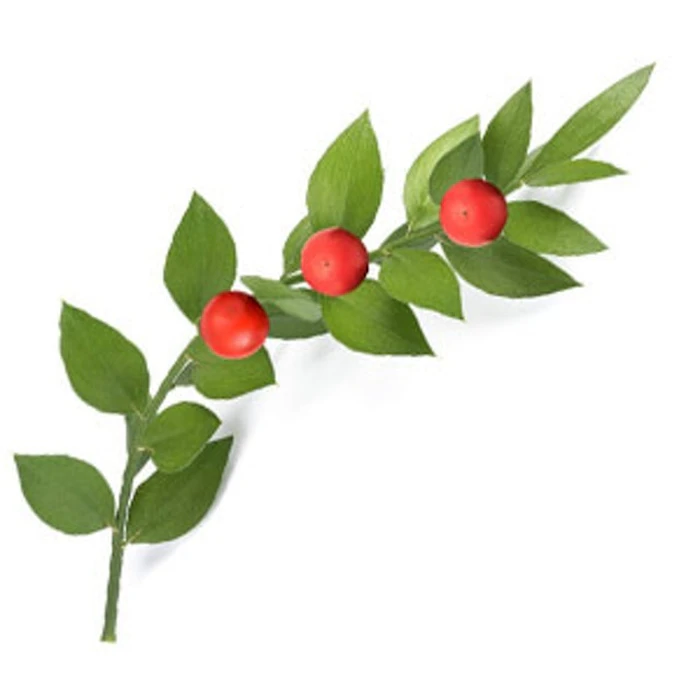 The Body Shop Roots of Strength™ Firming Shaping Serum Translation missing: id.activerecord.decorators.item_part_image/alt